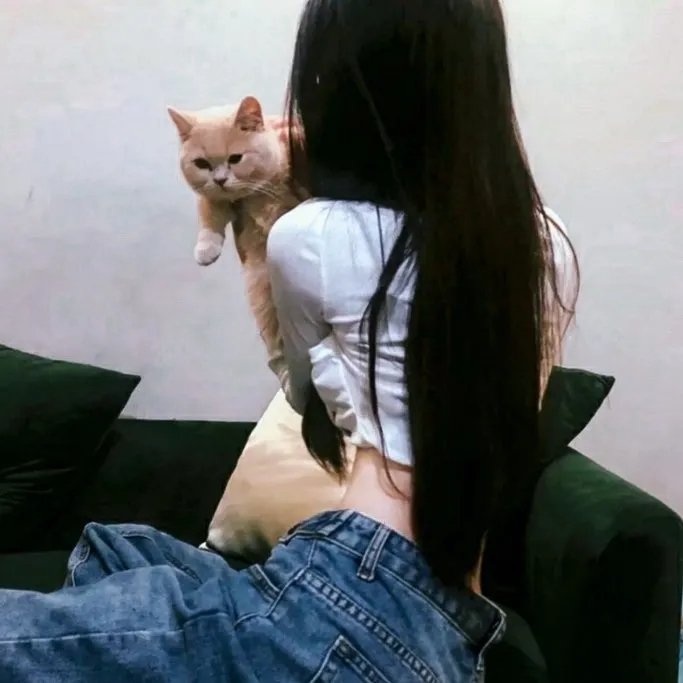 篮球旋风